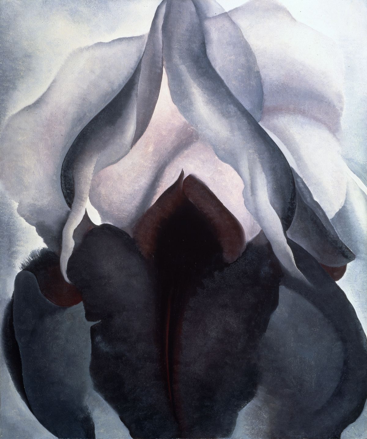 Black Iris, peinture de Georgia O’Keeffe — Metropolitan Museum of Art (The Met)