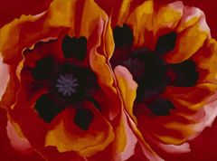 Oriental Poppies, 1927 | Georgia O'Keeffe Museum: Access O'Keeffe