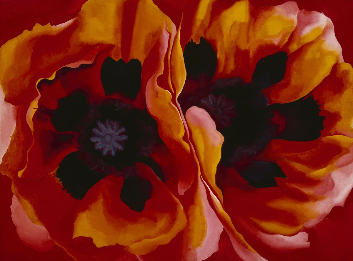 Oriental Poppies, peinture de Georgia O’Keeffe — Frederick R. Weisman Art Museum