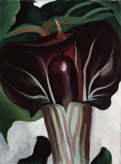 Black Hollyhock Blue Larkspur, 1930 | Georgia O'Keeffe Museum