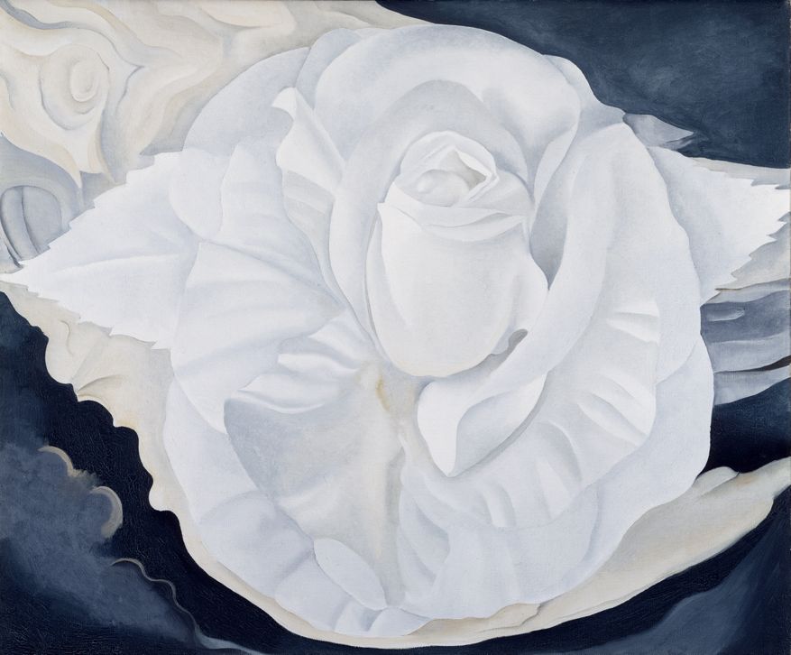 Calla Lilies on Red, 1928 | The Georgia O'Keeffe Museum