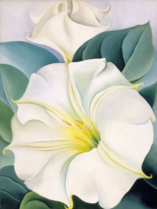 Jimson Weed/White Flower No. 1, 1932 | The Georgia O'Keeffe