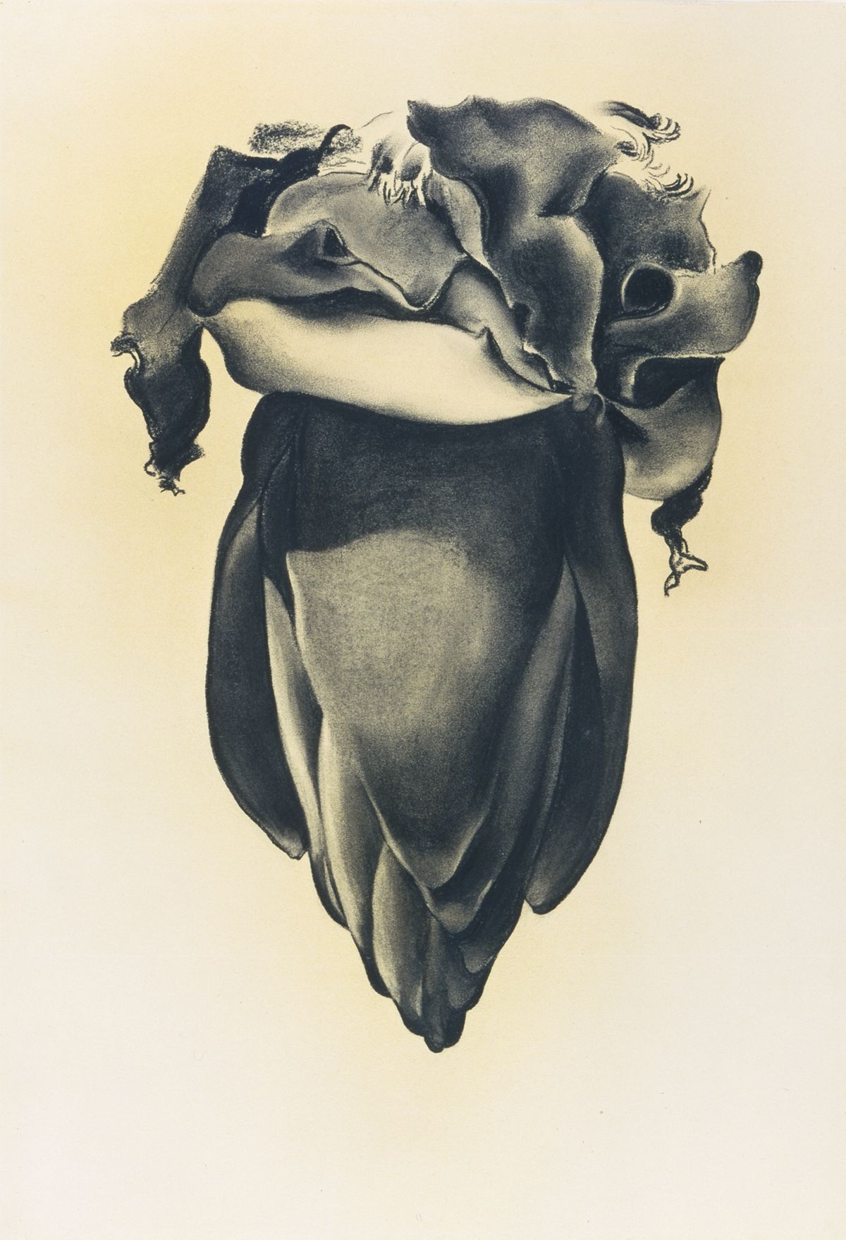 Banana Flower, peinture de Georgia O’Keeffe — Museum of Modern Art (MoMA)
