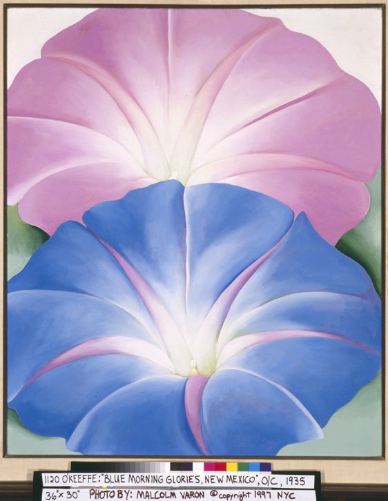 洋書 Georgia O'Keeffe Georgia O'Keeffe by Georgia O'Keeffe | Lemuria Books