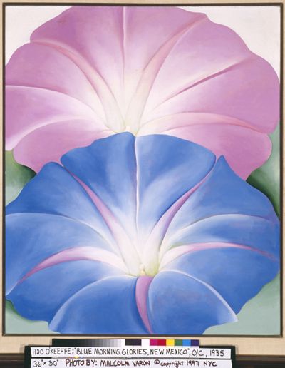 Blue Morning-Glories, New Mexico, 1935 | Georgia O'Keeffe Museum