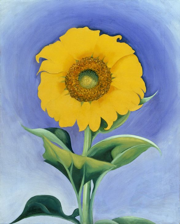 額装品/Sunflowe/ジョージア オキーフ Sunflower New Mexico 1935(ジョージア オキーフ)額装済ポスター