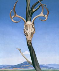 Deer's Skull with Pedernal, 1936 | Georgia O'Keeffe Museum: Access
