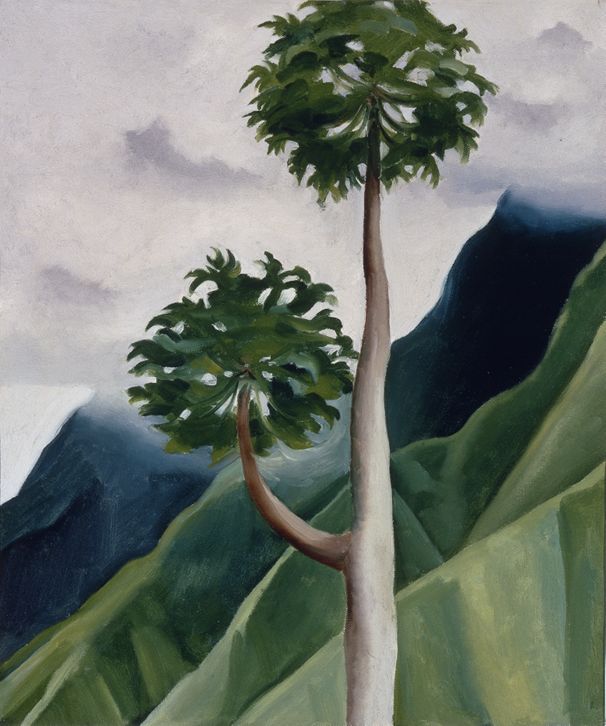 油絵pappa gallo Papaw Tree, ʻĪao Valley, Maui, 1939 | The Georgia O'Keeffe Museum