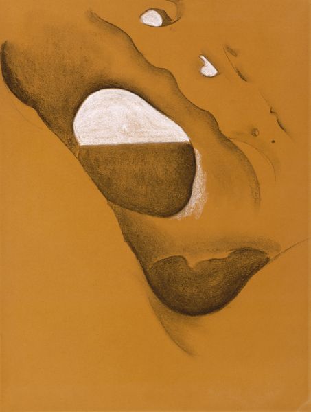 This work appears to be an abstraction using a piece of bone. The bone is pierced by several holes. Two large holes fill the center of the work. The upper opening is divided into two sections. The top section has been filled with white chalk, while the bottom section has been shaded with dark charcoal. The lower large hole has been completely shaded with dark charcoal.