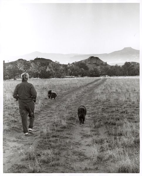 A woman, Georgia O'Keeffe, walking away from the camera along a rough desert road with two chow chow dogs in front of her.