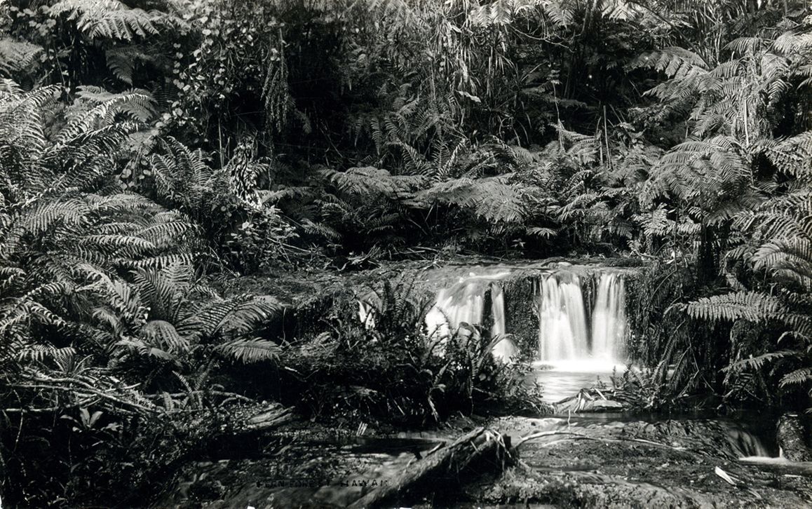Waterfall End of Road 'ʻĪao Valley, 1939 | Georgia O'Keeffe Museum