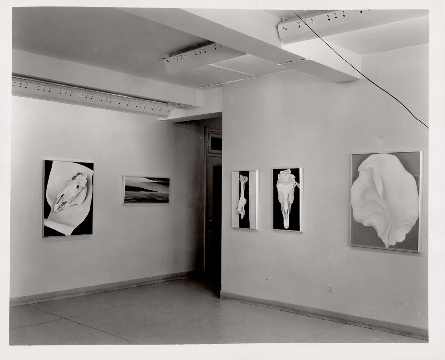 Back of Marie's No. 4, 1931 | Georgia O'Keeffe Museum: Access O'Keeffe