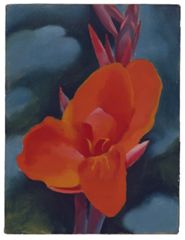 Red Canna, 1919 | Georgia O'Keeffe Museum: Access O'Keeffe