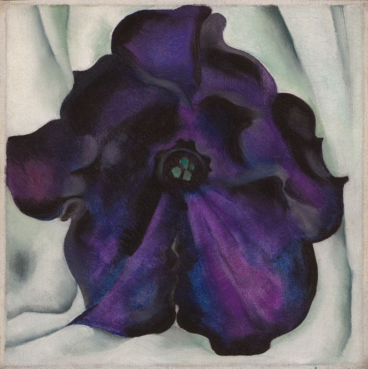 Black and Purple Petunias/オキーフ/ポスター Black and Purple Petunias – PostersofSantaFe.com