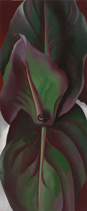 希少! ia O'Keeffe Petunia,1925 Poster Petunia, 1925 by Georgia O'Keeffe - Paper Print - Georgia O
