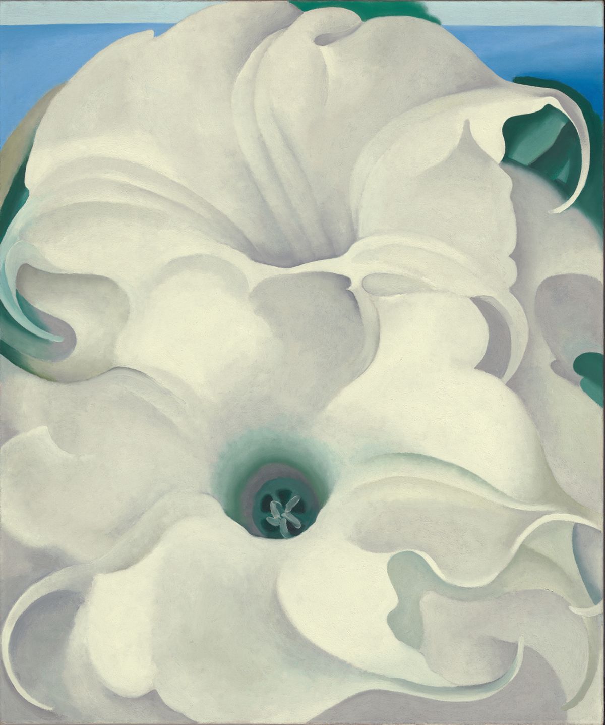 Bella Donna, peinture de Georgia O’Keeffe — Georgia O'Keeffe Museum