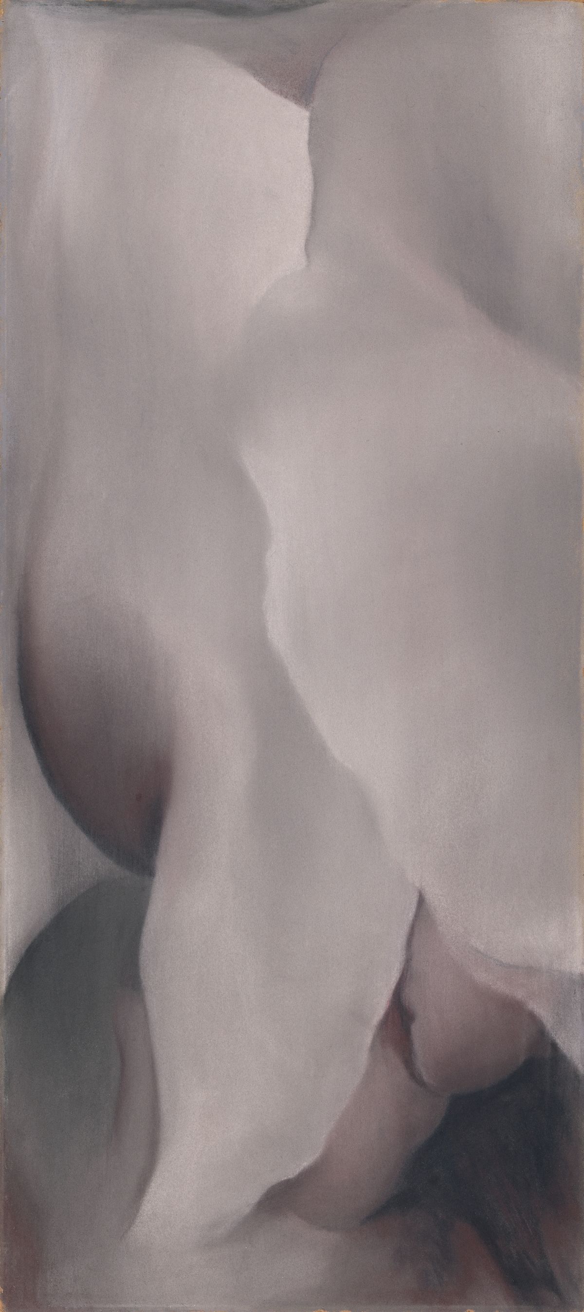 Dark Iris No. III, peinture de Georgia O’Keeffe — Georgia O'Keeffe Museum