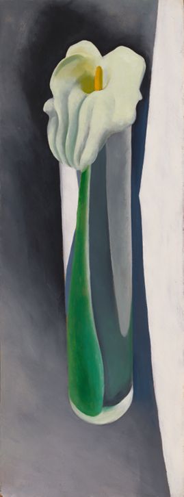 Calla Lily in Tall Glass – No. 2, 1923 | Georgia O'Keeffe Museum
