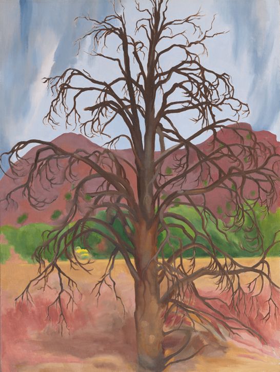 Dead Piñon Tree, 1943 | The Georgia O'Keeffe Museum