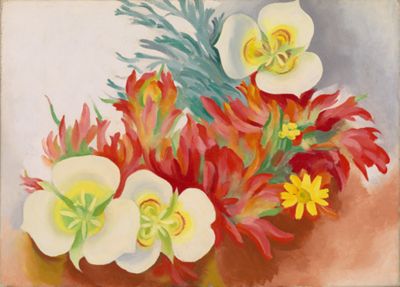 An Orchid, 1941 | Georgia O'Keeffe Museum: Access O'Keeffe