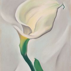 Calla Lily Turned Away, 1923 | The Georgia O'Keeffe Museum