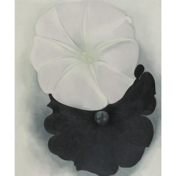 Black Petunia and White Morning Glory I, 1926 | The Georgia O