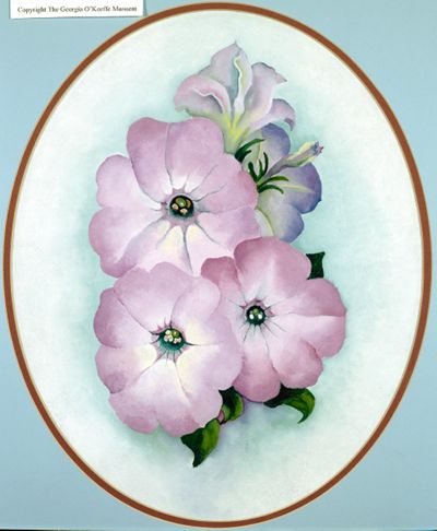 Petunia No. 2, 1924 | Georgia O'Keeffe Museum: Access O'Keeffe