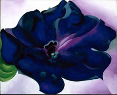 Petunia, 1925 | Georgia O'Keeffe Museum: Access O'Keeffe