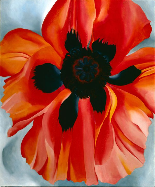 Red Poppy, 1928 | The Georgia O'Keeffe Museum
