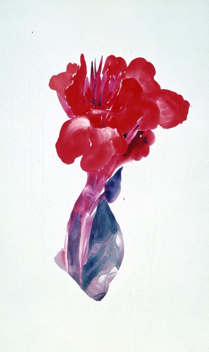Canna Red and Orange, 1926 | Georgia O'Keeffe Museum: Access O'Keeffe