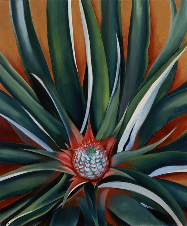 Georgia O'Keeffe Paintings of Hawai`i | Georgia O'Keeffe Museum