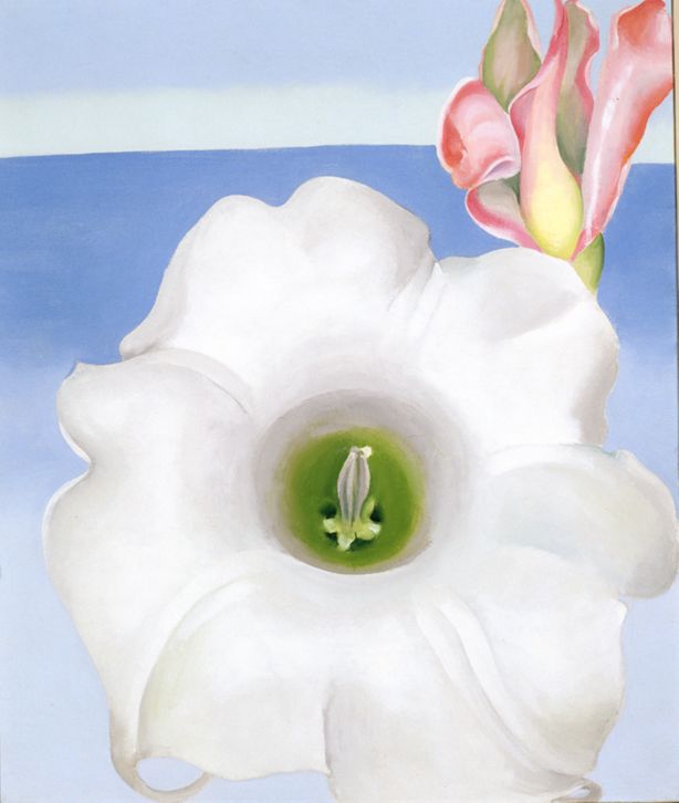 Crab's Claw Ginger Hawaii, 1939 | The Georgia O'Keeffe Museum