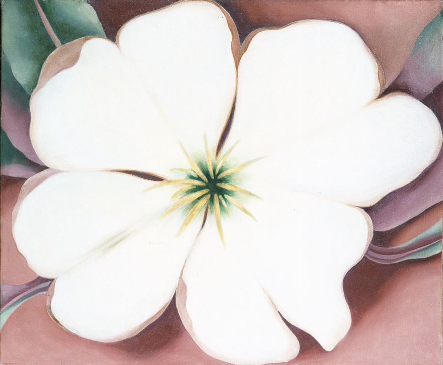 White Flower on Red Earth II, 1943 | The Georgia O'Keeffe Museum