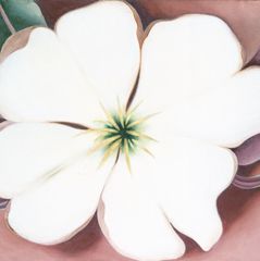 White Flower on Red Earth II, 1943 | The Georgia O'Keeffe Museum