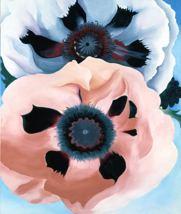 Petunia No. 2, 1924 | The Georgia O'Keeffe Museum Petunia No. 2, 1924 | The Georgia O'Keeffe Museum