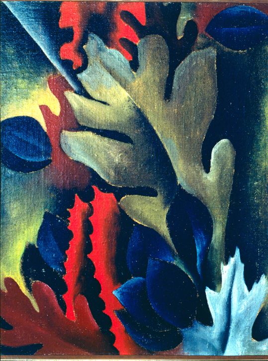 Shell No. I, 1928 | The Georgia O'Keeffe Museum