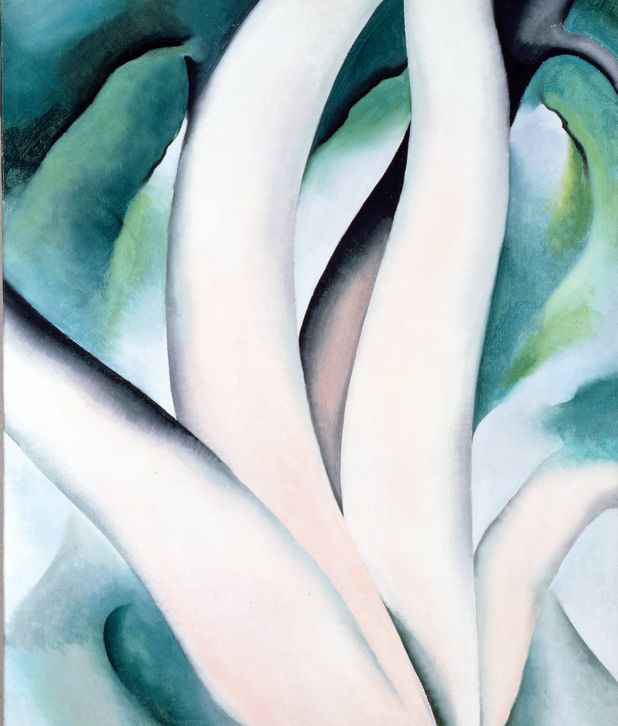 Georgia O'keeffe,clam and Mussel, 1926,art Prints,vintage