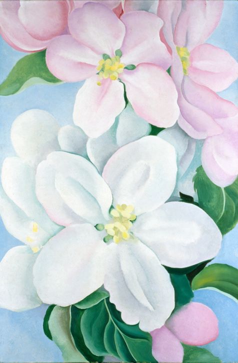 Apple Blossoms, 1930 | The Georgia O'Keeffe Museum