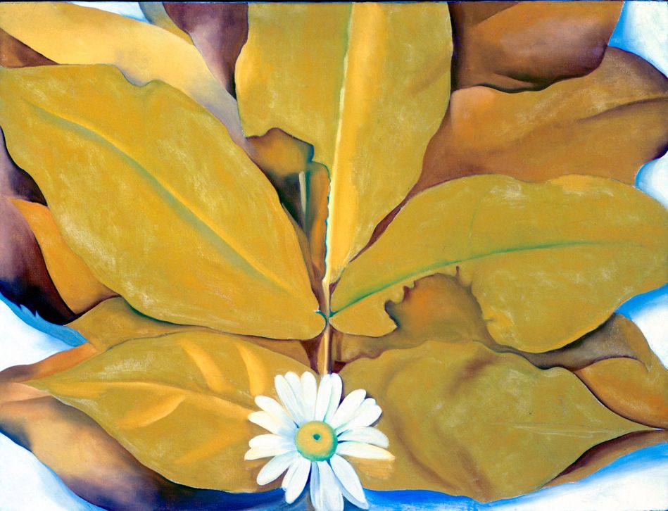 Jimson Weed/White Flower No. 1, 1932 | The Georgia O'Keeffe Museum