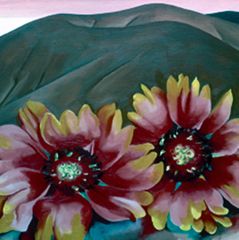 Red Hills with Flowers, 1937 | The Georgia O'Keeffe Museum