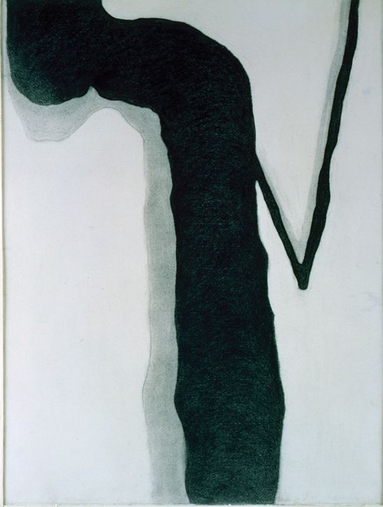 洋書 Georgia O'Keeffe O'Keeffe: Shell No. 2, 1928 | Custom prints | Tate Shop | Tate