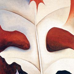 Leaf Motif, No. 1, 1924 | The Georgia O'Keeffe Museum Leaf Motif, No. 1, 1924 | The Georgia O'Keeffe Museum