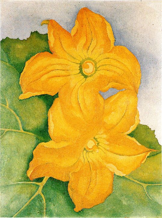 Squash Flowers 1, 1925 | The Georgia O'Keeffe Museum