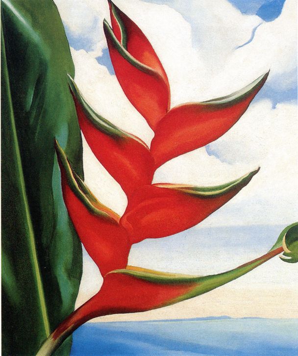 Crab's Claw Ginger Hawaii, 1939 | The Georgia O'Keeffe Museum