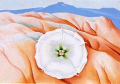 Datura and Pedernal, 1940 | Georgia O'Keeffe Museum: Access O'Keeffe