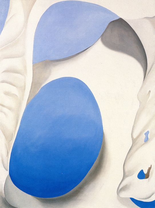 Clam and Mussel, 1926 | The Georgia O'Keeffe Museum