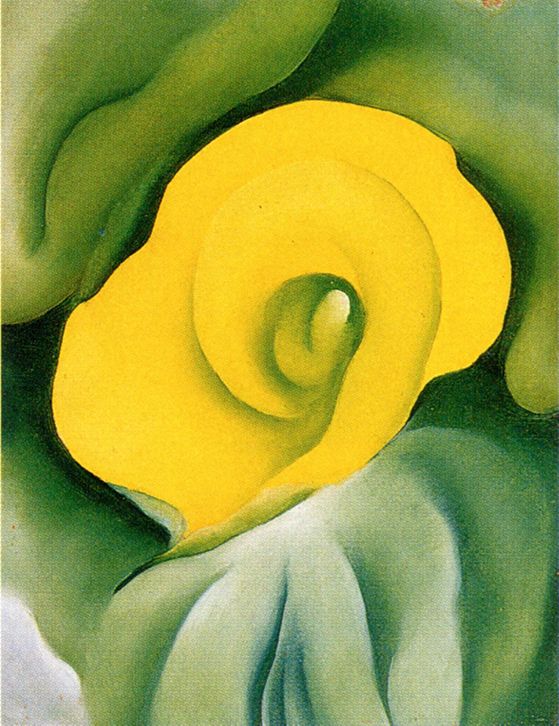 Calla Lily in Tall Glass – No. 2, 1923 | The Georgia O