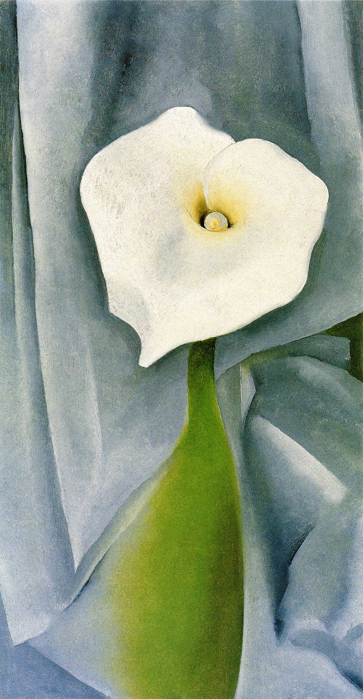 Calla Lily on Grey, peinture de Georgia O’Keeffe — Museum of Fine Arts (MFA Boston)