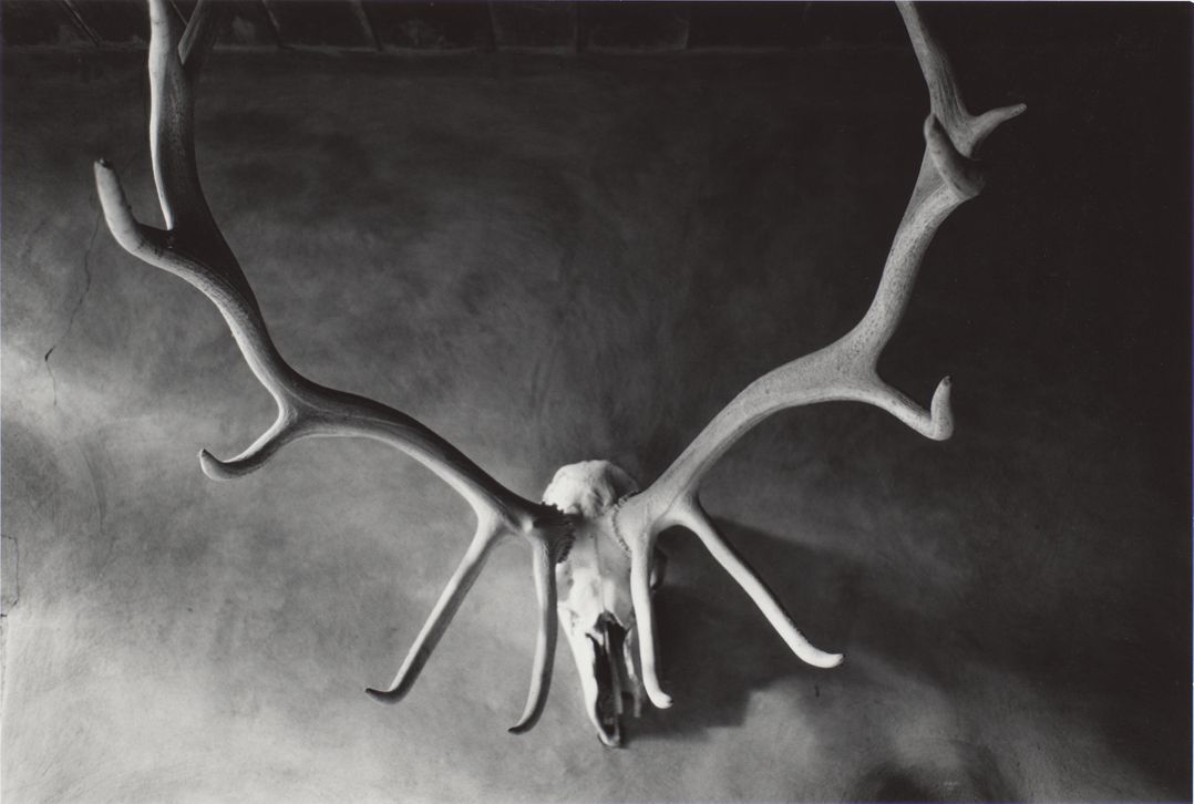In The Studio, Apr 1980, 1984 | The Georgia O'Keeffe Museum