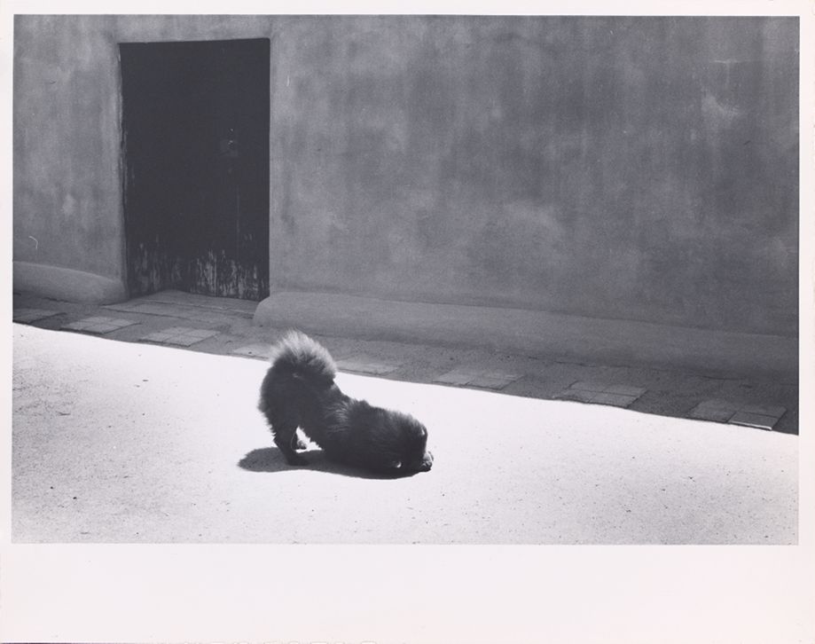 O'Keeffe At Abiquiu